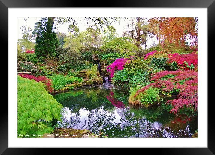 oasis of serenity Framed Mounted Print by linda cook