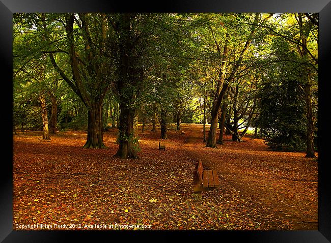 Autumn walk Framed Print by Ian Purdy