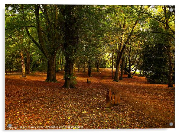 Autumn walk Acrylic by Ian Purdy