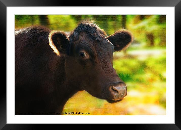 The Cow Framed Mounted Print by Elaine Manley