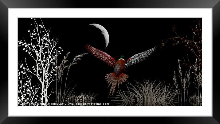 Night Flight Framed Mounted Print by Elaine Manley