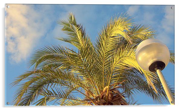 Light Palm Acrylic by Louise Godwin