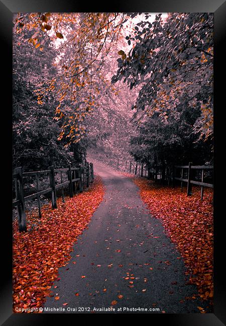 Into the Autumn Mist Framed Print by Michelle Orai
