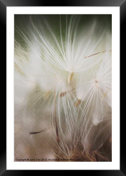 Soft and Dandy Framed Mounted Print by Julie Coe