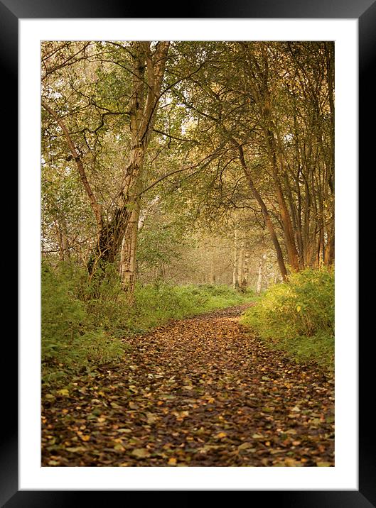 The path to Nowhere Framed Mounted Print by Dawn Cox