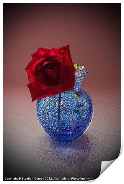 Still Life with Red Rose Print by Stephen Conroy