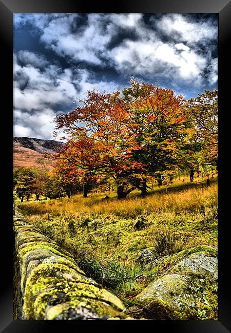 Autumn at Dovestones Framed Print by Neil Ravenscroft