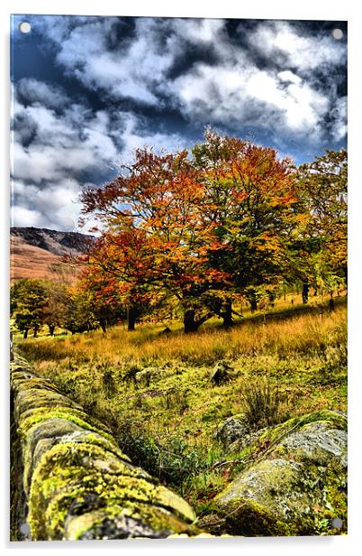 Autumn at Dovestones Acrylic by Neil Ravenscroft