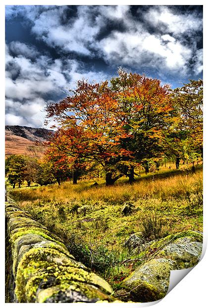 Autumn at Dovestones Print by Neil Ravenscroft
