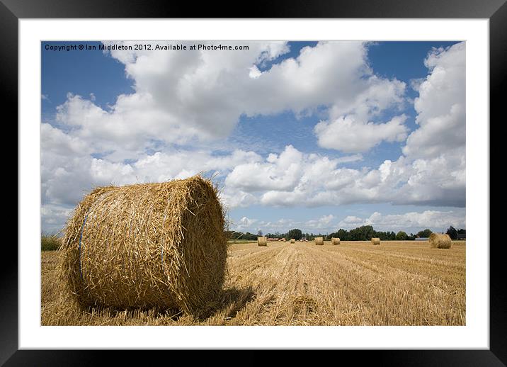 Harvest time in France Framed Mounted Print by Ian Middleton