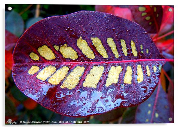 WET PURPLE LEAF Acrylic by David Atkinson