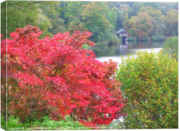 The Boathouse At Winkworth Arboretum Canvas Print by Colin Williams Photography