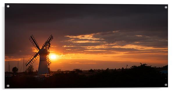 Horsey Sunset Acrylic by Simon Wrigglesworth