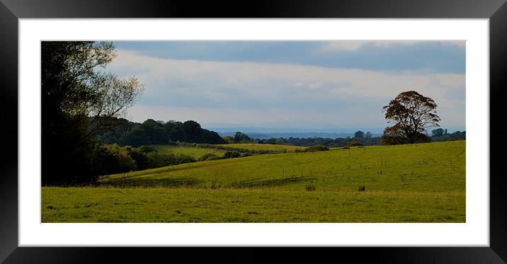Cheshire Plains Framed Mounted Print by Andy Freeman