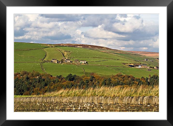 South Pennine Vista Framed Mounted Print by Sandra Pledger