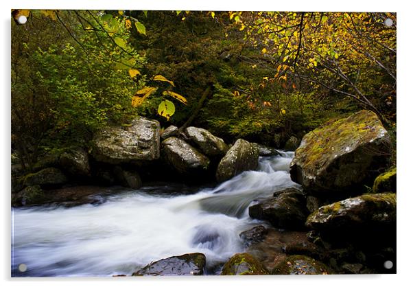 River Lyn Acrylic by Dave Wilkinson North Devon Ph