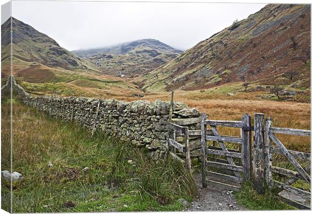 Haweswater Canvas Print by Martin Kemp Wildlife