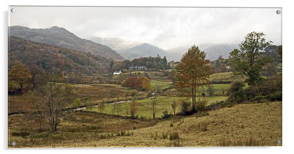 View of Elterwater Acrylic by Martin Kemp Wildlife