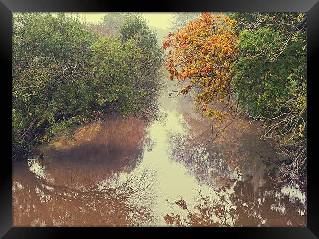 Reflection Framed Print by Dawn Cox