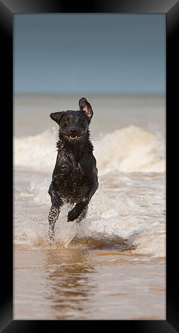 Happiness is Wet Framed Print by Simon Wrigglesworth
