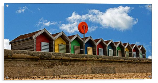 Beach Huts Acrylic by David Pringle
