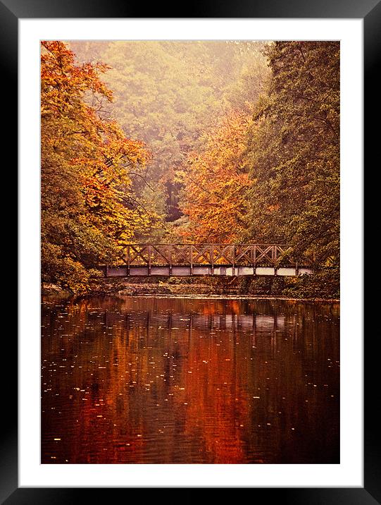 Rich Autumn Colours Framed Mounted Print by Dawn Cox