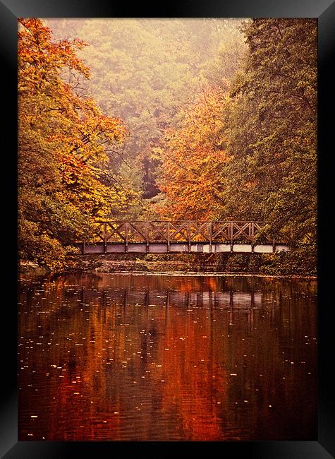 Rich Autumn Colours Framed Print by Dawn Cox