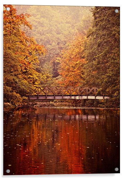 Rich Autumn Colours Acrylic by Dawn Cox