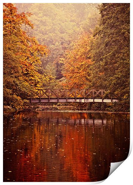 Rich Autumn Colours Print by Dawn Cox