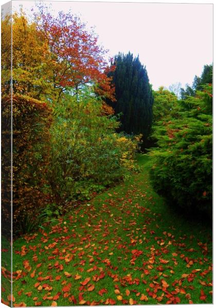 The Leafy Path. Canvas Print by Heather Goodwin