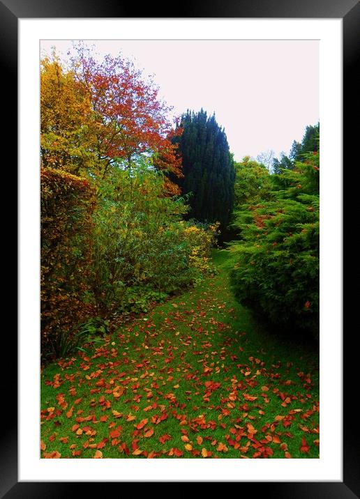 The Leafy Path. Framed Mounted Print by Heather Goodwin