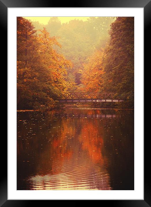A time for Reflection Framed Mounted Print by Dawn Cox