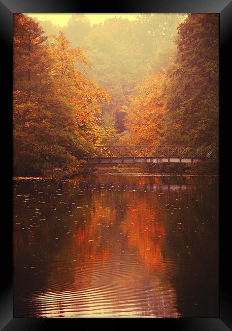 A time for Reflection Framed Print by Dawn Cox