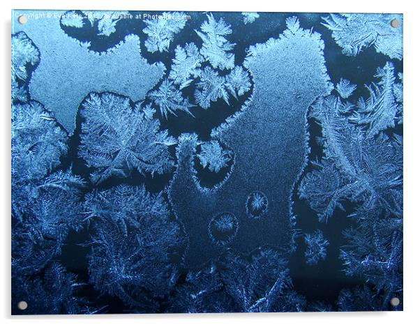 Window Frost Acrylic by Eva Kato