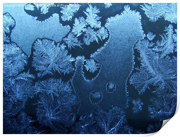 Window Frost Print by Eva Kato