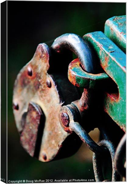 Locked Canvas Print by Doug McRae