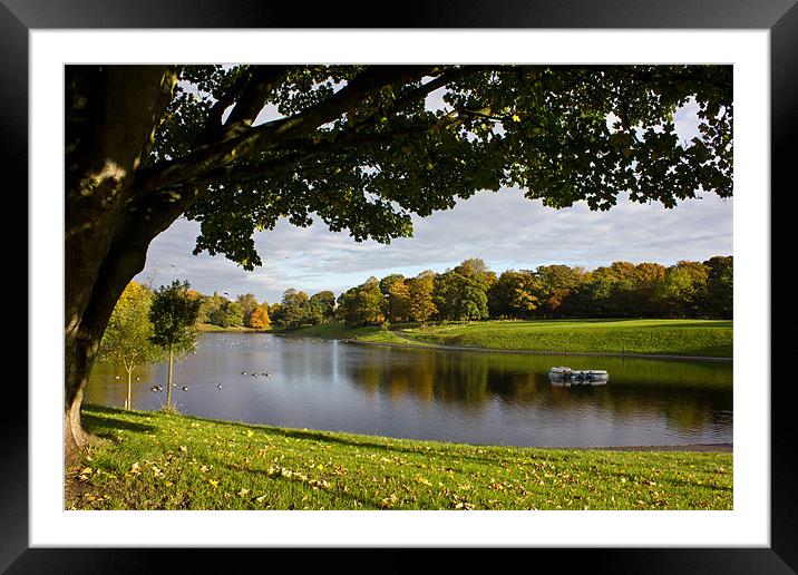 Sefton Park boating lake Framed Mounted Print by Paul Farrell Photography