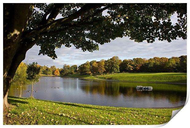Sefton Park boating lake Print by Paul Farrell Photography