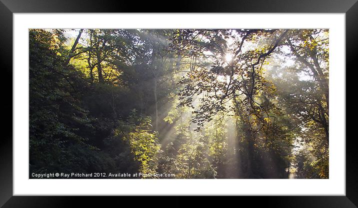 Light Rays at Jesmond Framed Mounted Print by Ray Pritchard