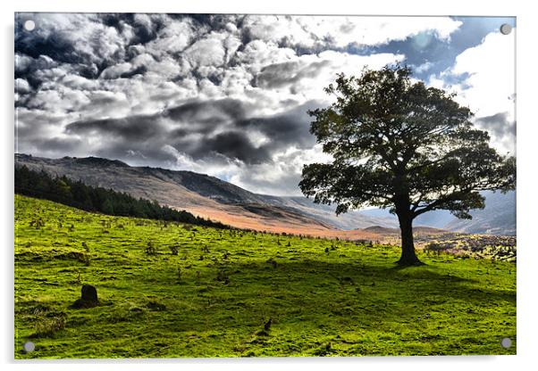Moorland over dovestone Acrylic by Neil Ravenscroft