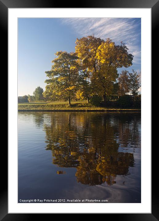 Hazy Autumn Morning Framed Mounted Print by Ray Pritchard