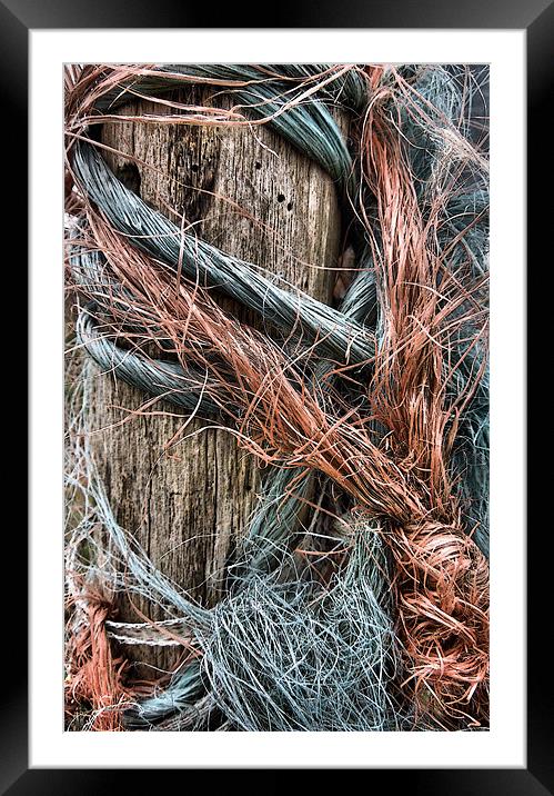 a frayed knot Framed Mounted Print by Heather Newton