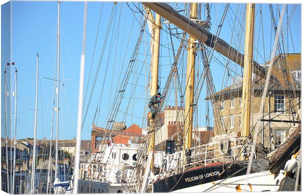 Tall ship Pelican Canvas Print by Malcolm Snook