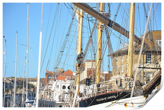 Tall ship Pelican Print by Malcolm Snook