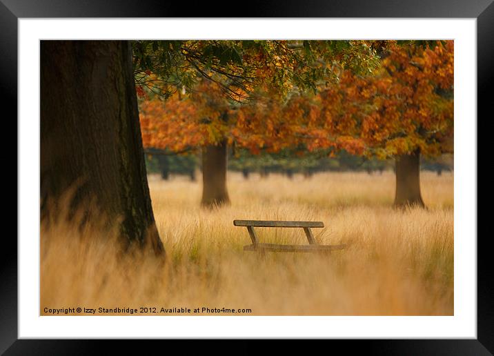 Richmond Park Bench in Autumn Framed Mounted Print by Izzy Standbridge