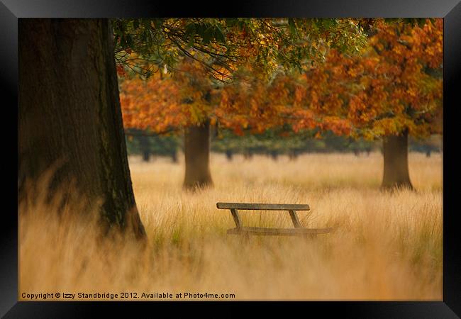 Richmond Park Bench in Autumn Framed Print by Izzy Standbridge