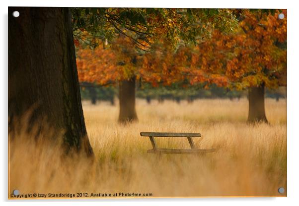 Richmond Park Bench in Autumn Acrylic by Izzy Standbridge