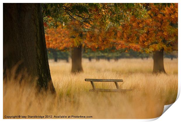 Richmond Park Bench in Autumn Print by Izzy Standbridge