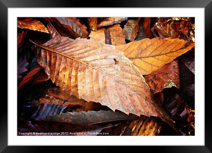 Autumn leaves Framed Mounted Print by stephen clarridge