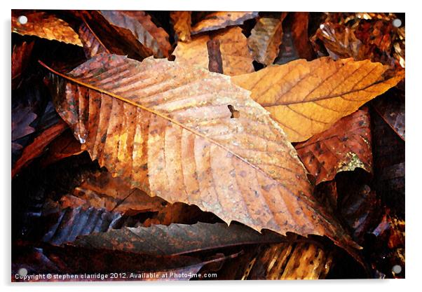 Autumn leaves Acrylic by stephen clarridge